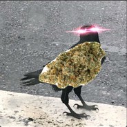 dank birb
