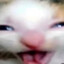 Mazz