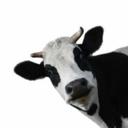 你好这是你的帽衫