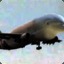 Sky Dolphin