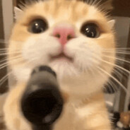tostino