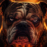 ✡ BULLDOG ✡