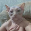 лобанов