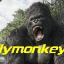 flymonkey