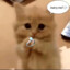 :3