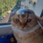 Avatar of player timdima