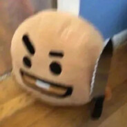 落花时节又逢君