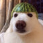 DANIELSSF