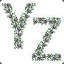 YZ