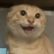 你知道我有多马，快来找我吧