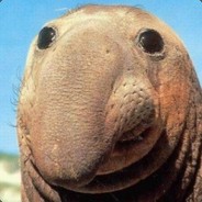 ПЫЛИСУС АРБУЗНЫЙ