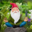 Gnomebzzz