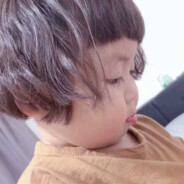 小二想来桃园开挖掘机