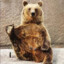 Yogieuszッ
