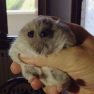 соль грамм 1500