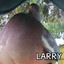 Larry