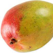 Slightly Used Mango