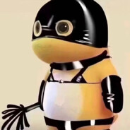 五伍扣扣无一物