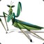 Jimminey Cricket