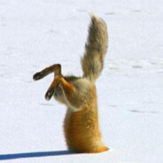 Fox avatar
