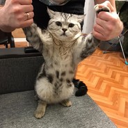 Bruce