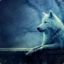 The-Wolf-Spirit\MXM™SRB