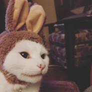 ♣♦⪼LUISIIN⪻♦♣