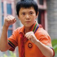 chinese karate bully
