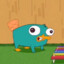 Ornitorenk Perry