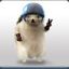 Bucy