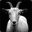 YeahTheGoat