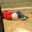 xXHalfUsedHomelessDudeXx avatar