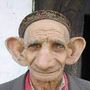 RaReSCR