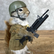 Comrade Squirrel