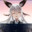 洛熙 avatar