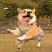 独善其身，内断其心