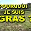 JE SUIS GRAS