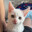 ZOOM avatar