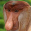 kimer