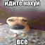 курсед (прайм)