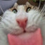 Egor