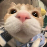 那我懂你意思了