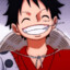 The Monkey D. Luffy