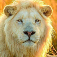 4RMENDD - steam id 76561199418357459