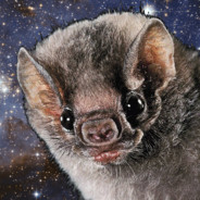 Space Bat