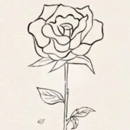 她与长夜皆过往