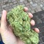 slaveimporter123