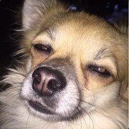 Tizツ - steam id 76561197961375263