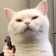 侯老板在线刚枪