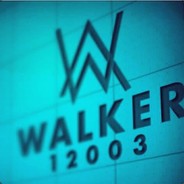 WALKER 17294